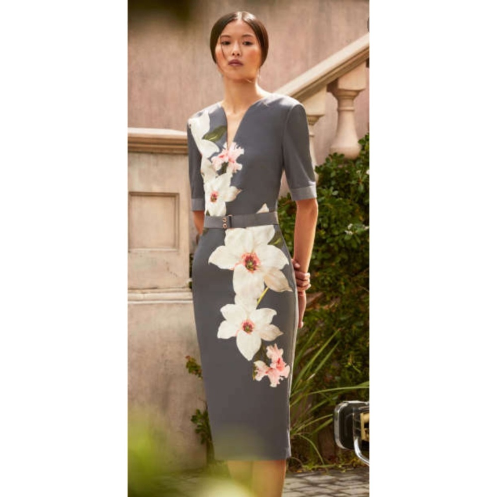 Ted Baker Bislee Dress